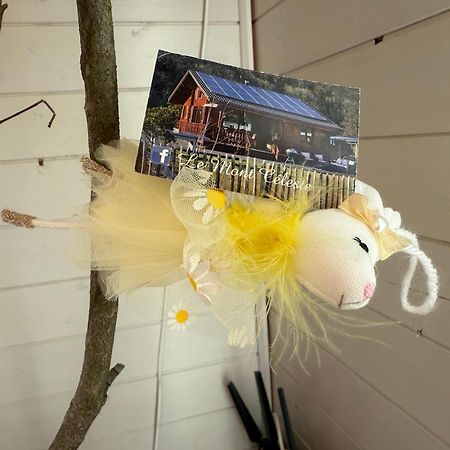 Le Mont Celeste Dogs Friendly Nonceveux Exterior foto